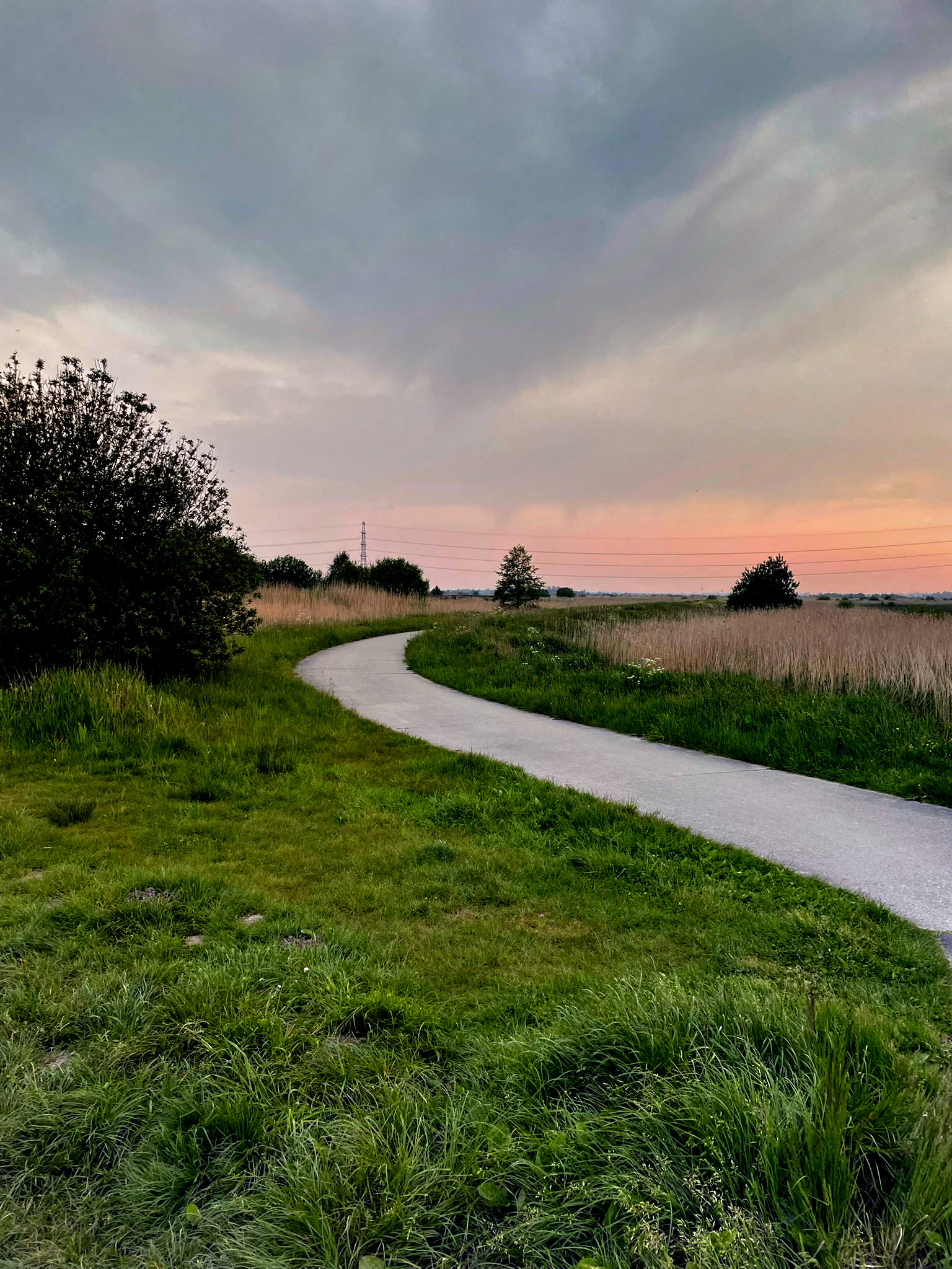 Tiny House 'De Kievit'